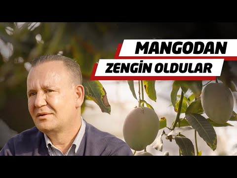 1 Dönümde 1 Milyon Lira Kazanıyorlar | Mangocular Kralı