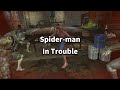 Spider-man Gyakuryona 2 (Spidy in trouble - ASM1)
