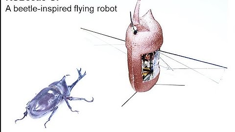 Insect-inspired flapping wing robot: Outdoor flight performance