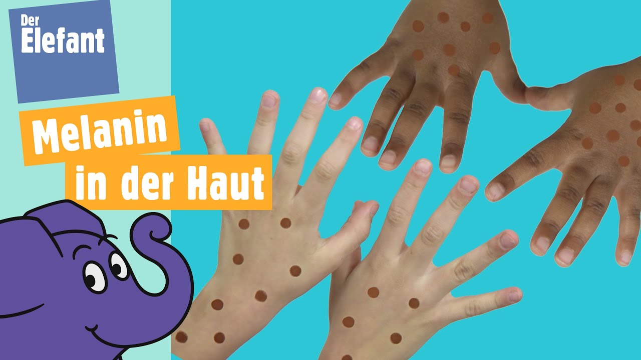 Warum gibt es unterschiedliche Hautfarben? Der Elefant WDR YouTube Warum gibt es unterschiedliche Hautfarben? Der Elefant WDR YouTube