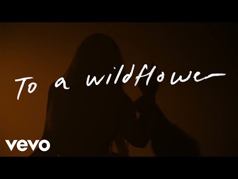 Tenille Townes - White Horse (Official Lyric Video)