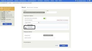 Google Cloud Backup and DR - Using PostgreSQL backups to mount or restore a database