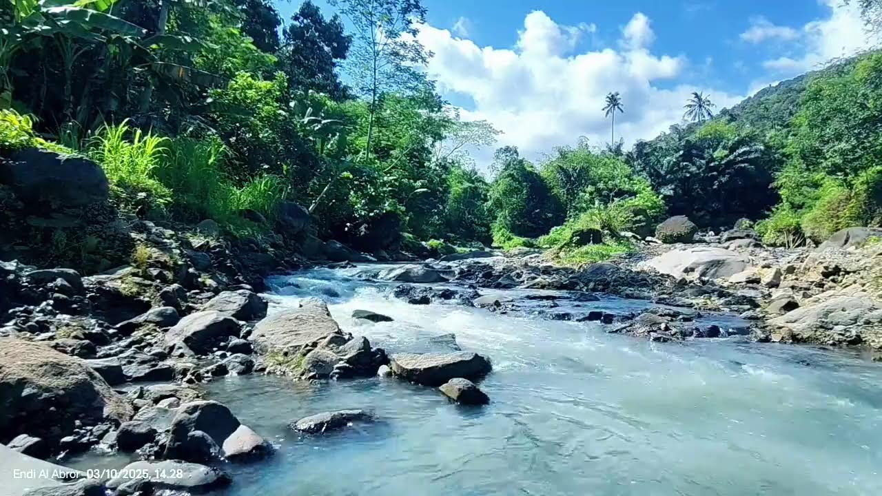 LIVE River Sounds 🌿 Calming Nature Water ASMR for Deep Sleep & Relax