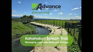 Kahahakuri Stream Trial   Managing Cow Cress and Bank Erosion