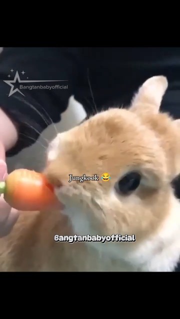 Bts vs animals...!!😂💔#shortsfeed#bts#btsshortsfeed#btsshorts#btsedits#subscribe#btsfunnyedits#bts