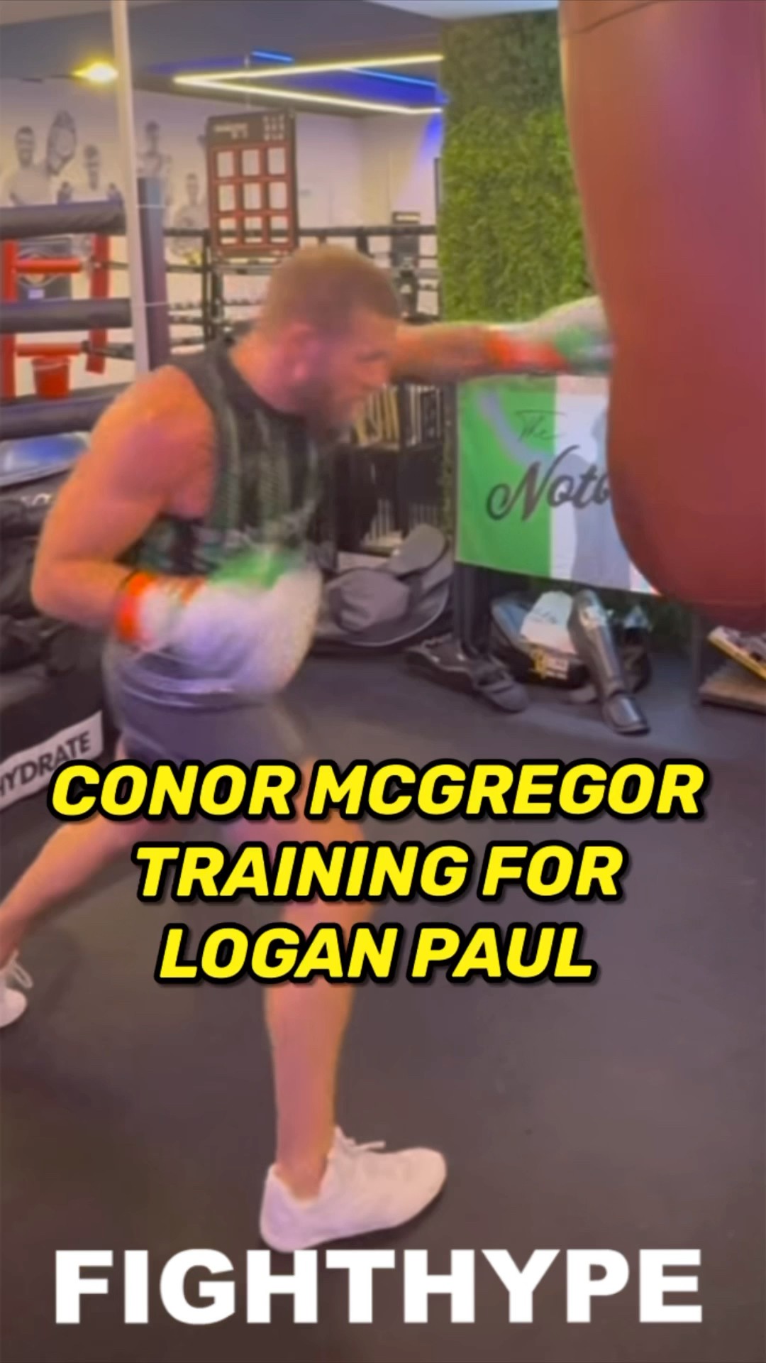 Conor McGregor BEGINS TRAINING for Logan Paul SHOWDOWN in India