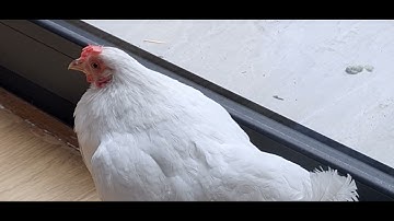 Terrifying Incident!