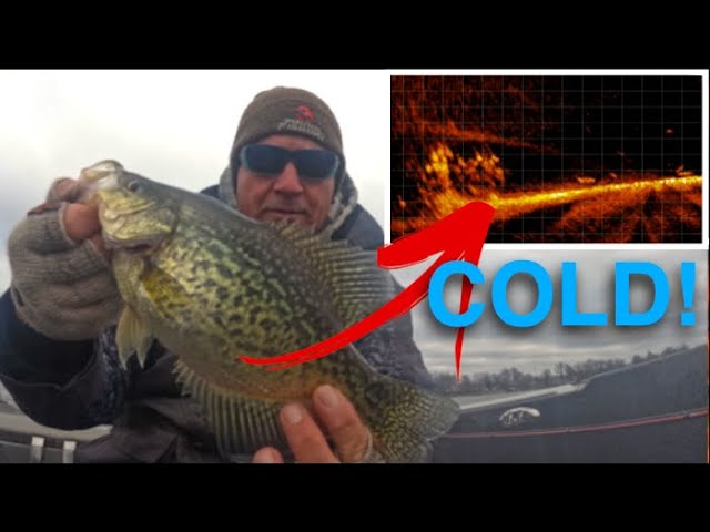 Night Crappie Fishing Video 