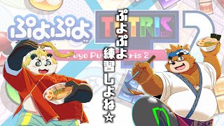 ぷよぷよ練習会withパパ #VTuber #ぷよぷよテトリス2