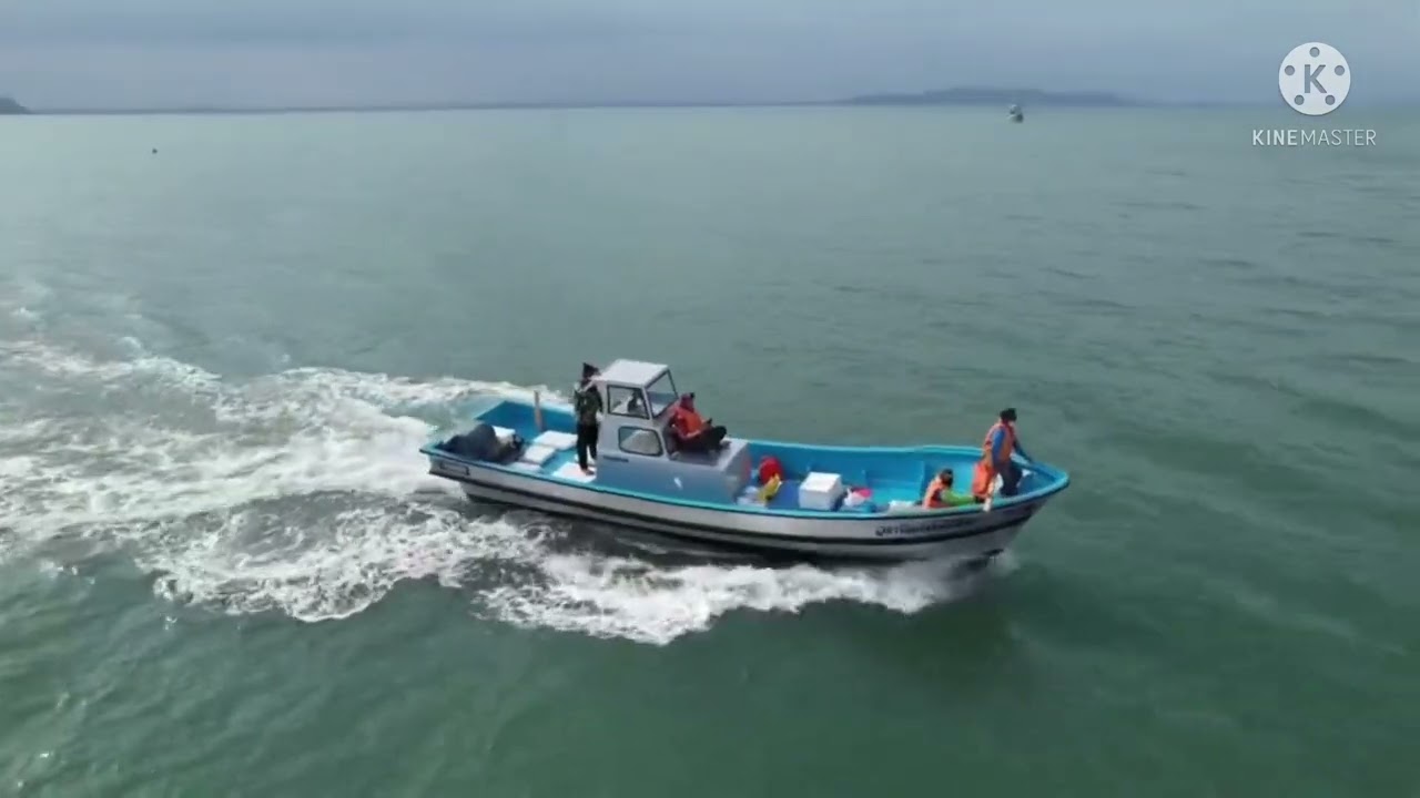 เรือประมงญี่ปุ่น31ฟุต