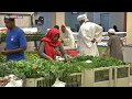 السودان ارتفاع كبير في الأسعار السودان ارتفاع كبير في الأسعار