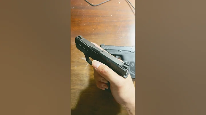 Bodyguard 2.0 is much better than LCP Max