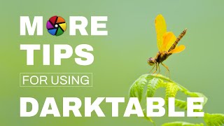 7 MORE Tips for Using Darktable