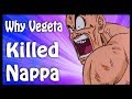 Why Did Vegeta Kill Nappa? Explained | Dragon Ball Code