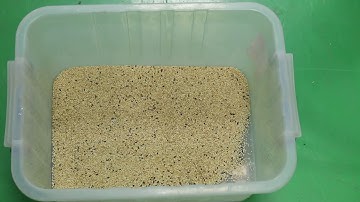 WENYAO Color Sorter For Sorting Sesame