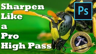 Famous How To Sharpen like a Pro using High-Pass Filters Profile