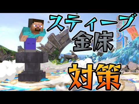 スマブラ1分ピンポイントキャラ対策　スティーブ空下編[スマブラSP]