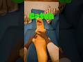 Catch - Original Short Animation #blender #3danimation #anime #comedy #pets