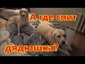 А где спит дядюшка?