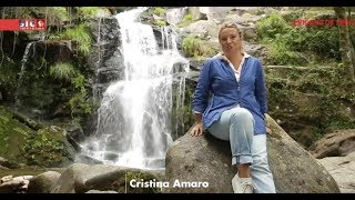 “Da Serra ao Mar” - Aveiro Cresce e Nós Fomos Saber Porquê