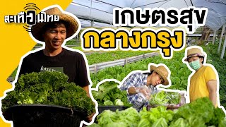 เกษตรสุขกลางกรุง | สะเทือนไทย [CC]