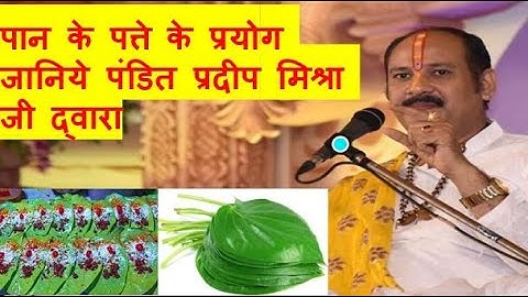पान के पत्ते के प्रयोग जानिये पंडित प्रदीप मिश्रा जी द्वारा #pradeepmishra #paan #sawan #mahadev