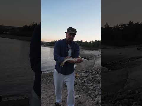 Video burada..  #fishing #balık #balıkçılık