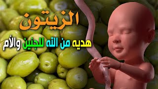 هل تعلم ماذا يحدث للجنين والأم عند تناول الزيتون أثناء الحمل !! سبحان الله العظيم