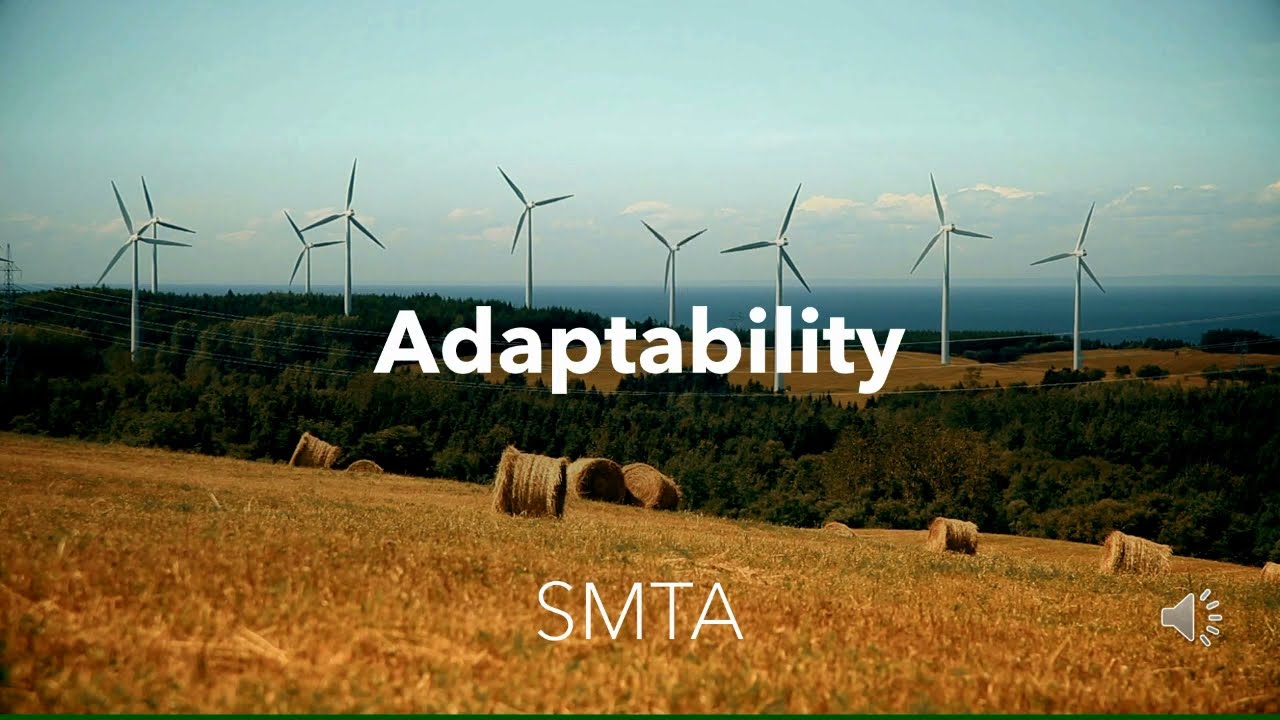 How to become adaptive to win the competition | 