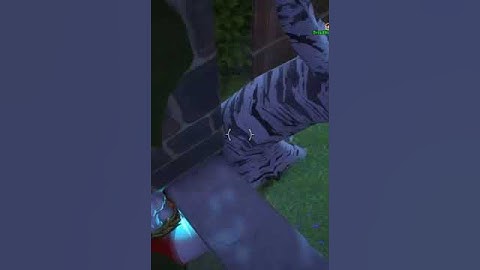 backyard out of bounds #gw2