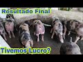 Episódio 5 Final. Porco (Suínos) dá dinheiro ?