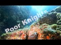 Episode #1 - Diving The Poor Knights, New Zealand