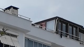 Güllünün Düştüğü Yerde Ferdi Aydın Avukatlar Ile Birlikte...