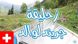 زحليقة جريندلوالد | Grindelwald Pfingstegg