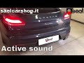 Active sound booster kufatec porsche panamera 30 tdi  sael snc