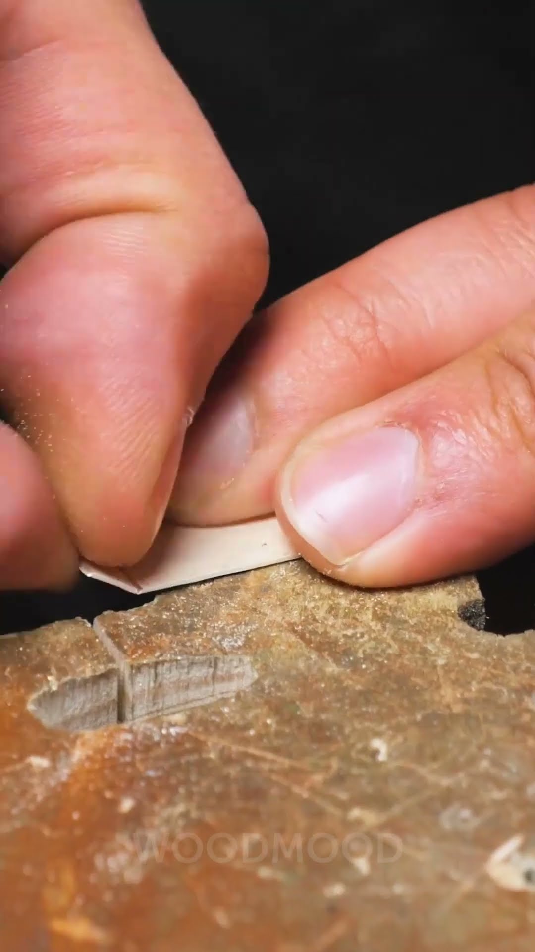 From tooth to the watch! The master surprises with the craft ?