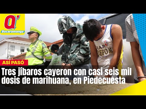 Tres jíbaros cayeron con casi seis mil dosis de marihuana, en Piedecuesta