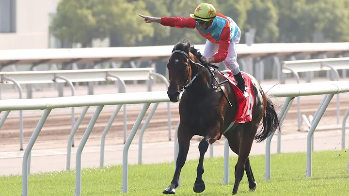 【2025 浪琴香港國際賽事 LONGINES HKIR】浪琴香港短途錦標 / LONGINES Hong Kong Sprint