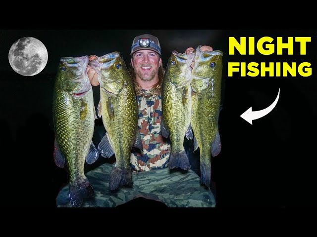 Night Fishing For Huge Bass In Michigan: How To Catch Bass At Night 