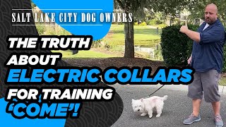 How Salt Lake City Dog Owners Are Humanely Using an E-Collar to Train Their Dog to Come When Called by Ty The Dog Guy 670 views 4 years ago 13 minutes, 59 seconds