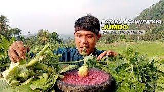 MUKBANG RUJAK LALAPAN MENTAH ~ LALAP DAUN DAN BATANG PEPAYA,DAUN JAMBU MEDE,SAMBAL TERASI CABE SETAN