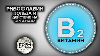 Рибофлавин (Витамин B2). Польза и действие на организм.