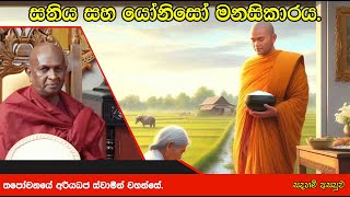 සතිය සහ යෝනිසෝ මනසිකාරය.168පූජ්‍ය තපෝවනයේ අරියධජ හිමි