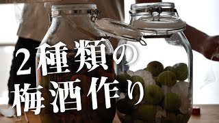 ブランデーとホワイトリカーで2種類の梅酒作り