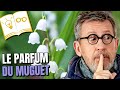 💮 Le muguet : connaissez-vous la particularité de son parfum ? 👃 #ChezJamy - Confinement Jour 46