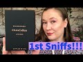 Chris Collins Discovery Set!! New at Sephora!! 1st Impressions!!