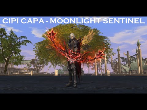 Amerika - TW - ARCHER PT 300 KILLS - 29-03-2025 - Amerika High Five PvP