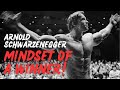 Arnold Schwarzenegger: Motivational Success Story