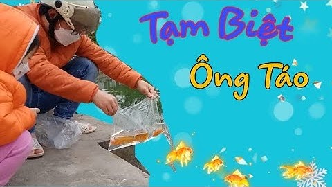 Đi chơi - thả cá Lễ Ông Công Ông Táo - Cốm Ơi !