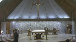 12th Sunday of Ordinary Time 8am Mass